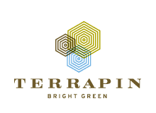 Terrapin Bright Green